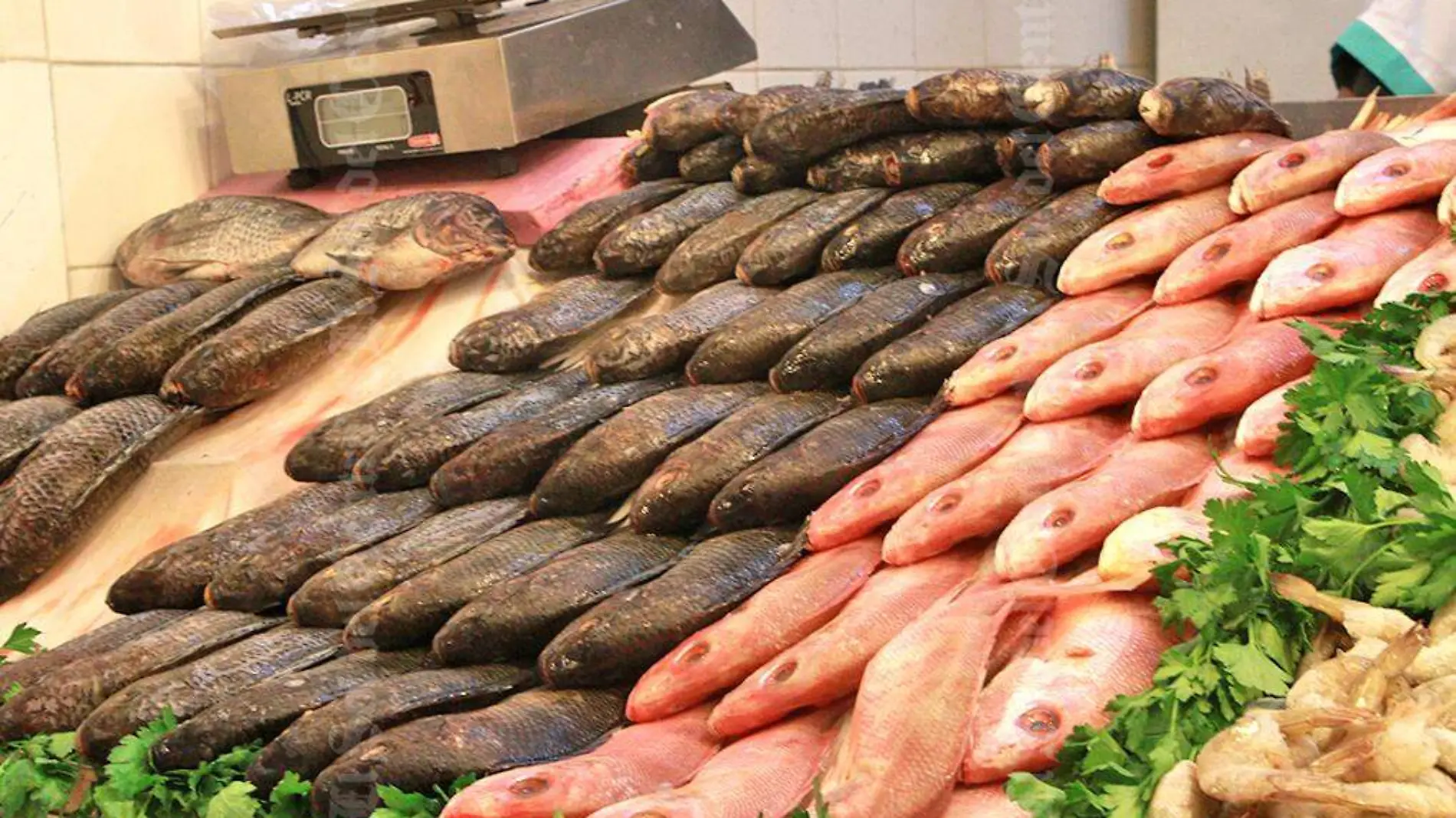 pescado en mercado